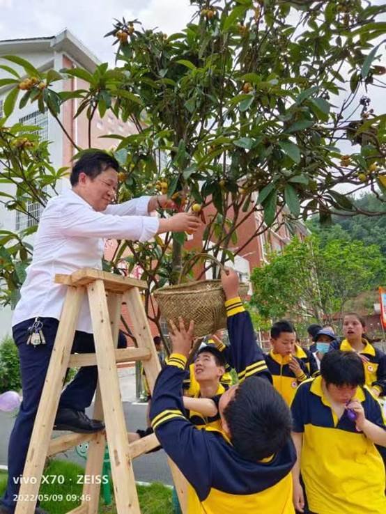 農(nóng)療康復(fù)身心健，共賞枇杷一樹(shù)金——邵陽(yáng)縣特別教育黌舍成功舉辦枇杷文化節(jié)