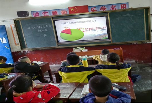洞口縣花古街道正龍小學開展“防性侵害”主題安全教育運動
