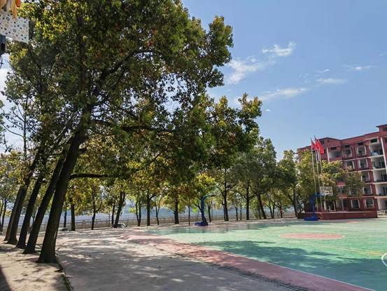 烈士墳塋心長存，寄哀何用入山林——金稱市鎮(zhèn)中學(xué)2022年清明網(wǎng)上祭奠英烈運動