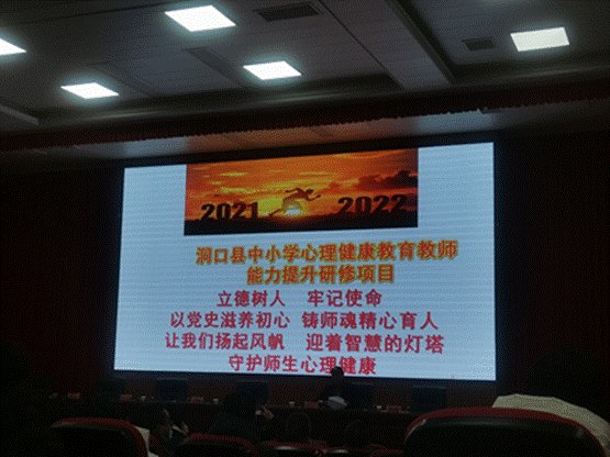 以心育心，樹心樹形——洞口縣中小學(xué)生理健康教育教師能力提拔培訓(xùn)班