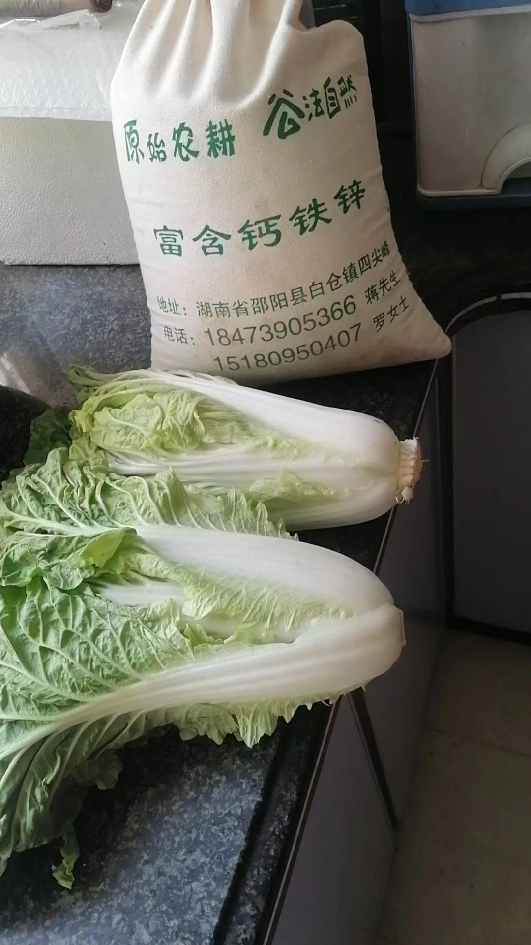 黨員身先士卒，師生齊心抗疫
