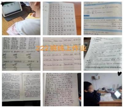 停課不停學、減量不減質、成長不延期