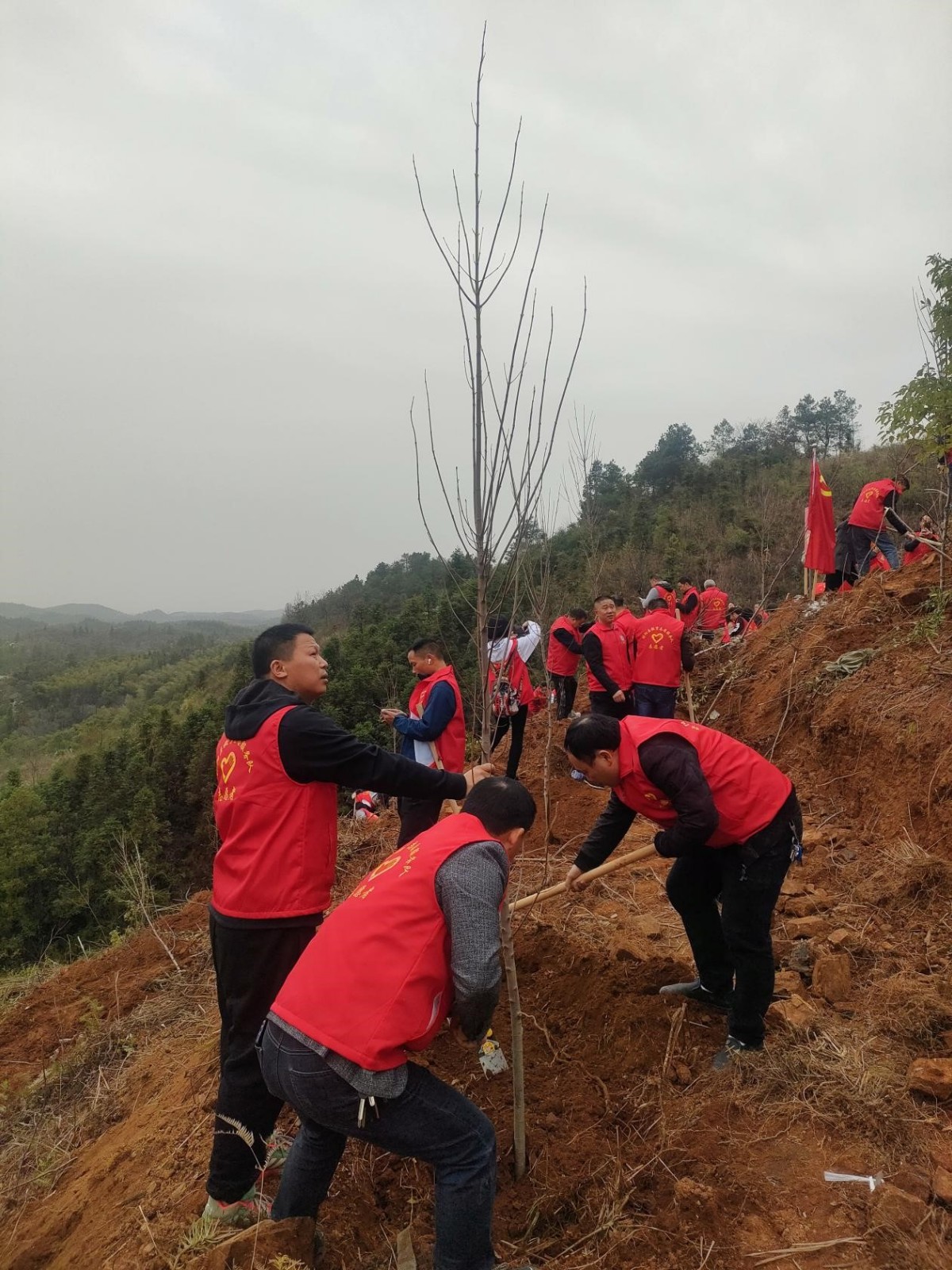 邵陽(yáng)縣塘渡口中學(xué)黨支部開展義務(wù)植樹活動(dòng)