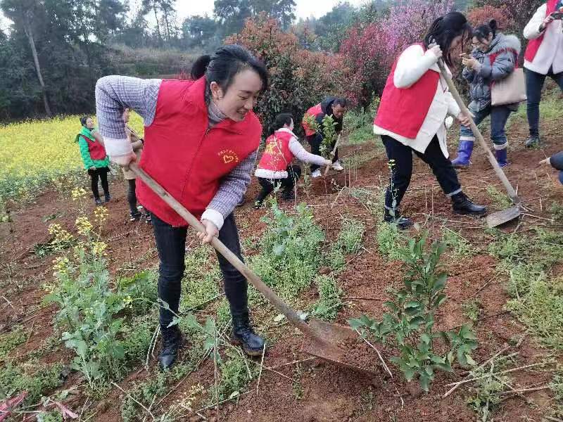 不負(fù)春光添新綠，陽(yáng)春三月植樹忙