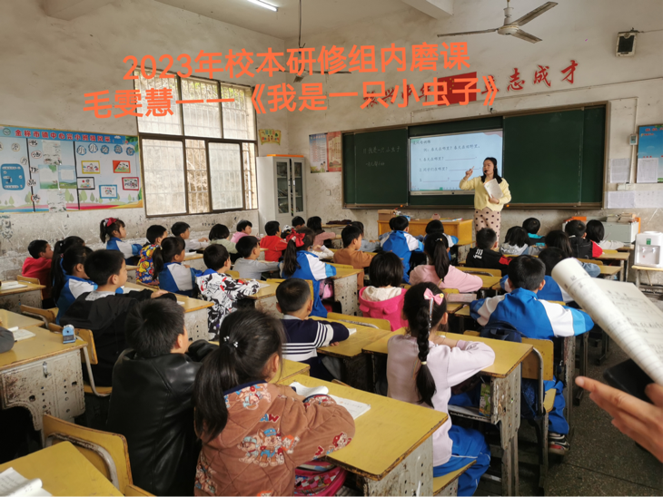 校本研修展風(fēng)采 深耕教學(xué)促成長