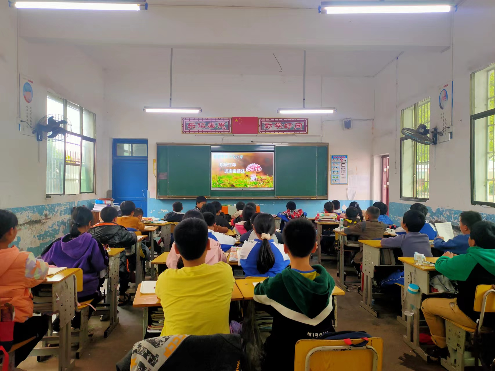 河邊小學(xué)開展預(yù)防毒蘑菇安全教育