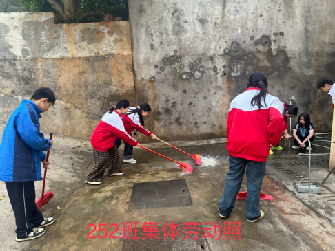 勞動教育常態(tài)化 家校共育見實(shí)效