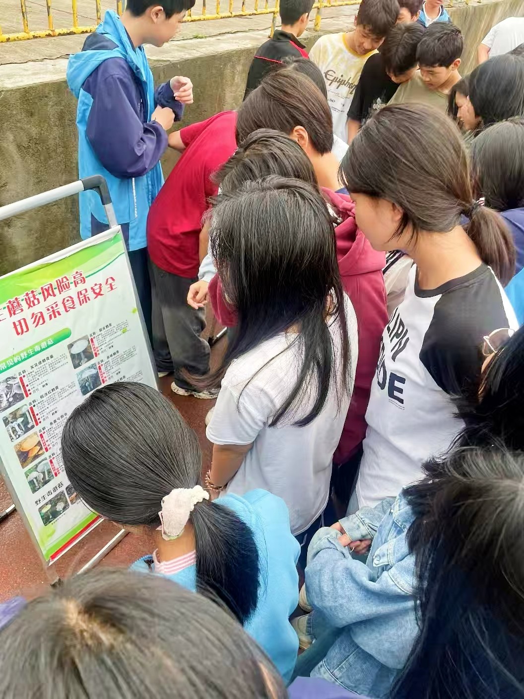 筑牢校園安全防線 守護(hù)學(xué)生健康成長