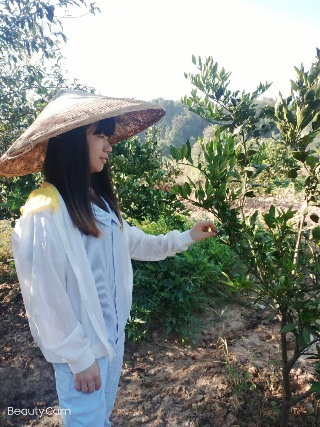 唐情：鄉(xiāng)村振興浪潮中的“領頭雁”